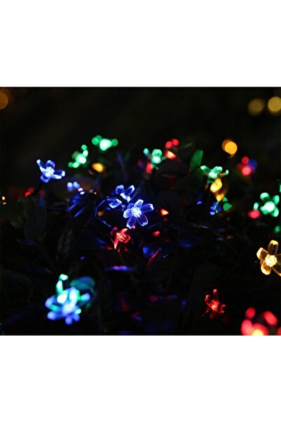 Flippy Christmas Lights, 5 Meters, 20 LED Cherry Blossom Bulbs, Outdoor Solar-Powered, Multicolor,