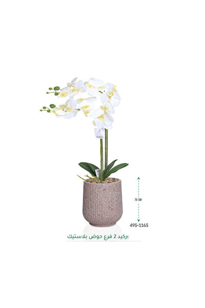 co arma Artificial orchid tree simulating a natural orchid tree with 2 branches and a plastic pot, 70 cm high