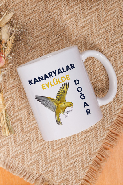 qoeuyl boutique Canaries Are Born in September Text Printed Birthday Gift Fun White Mug Cup