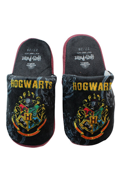 Harry Potter Children's slippers, plush, multicolor, non-slip sole, size 29-30, Harry Potter