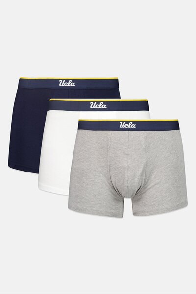UCLA Men 3 Pack Brand Logo Trunks, Multicolor