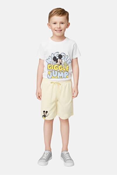 Disney Kids Boy 2 Pcs Mickey And Friends Short Sleeve Top And Shorts Set, Multicolor
