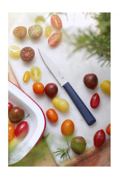 Opinel Set cutite 3 piese, inox, 'Les Essentiels'