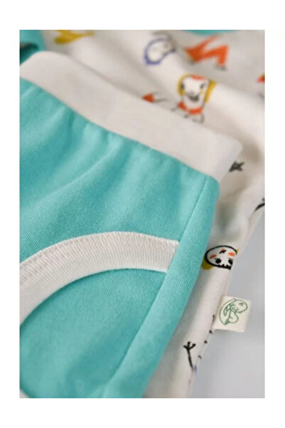 BabyCosy Long-sleeved shirt and long pants set, 100% cotton, BabyCosy, Green