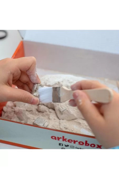 Arkerobox - Set educațional arheologic și puzzle 3D, Efes - Biblioteca Celsus