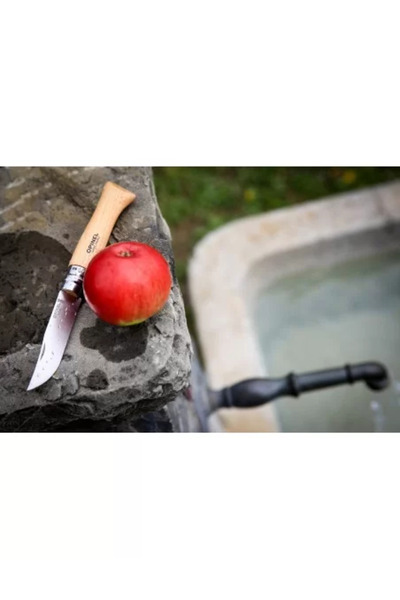 Opinel Pocket Knife N°09, stainless steel, 9 cm, 'Tradition Inox' -