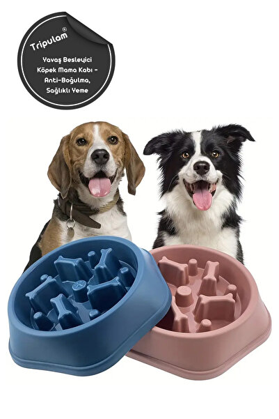 Yavaş Besleyici Köpek Mama Kabı – Anti-Boğulma, Sağlıklı Yeme 1 adet