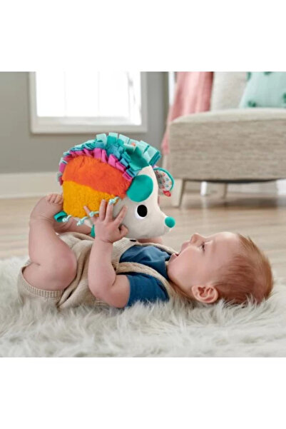 FISHER PRICE ARICIUL CU ACTIVITATI SENZORIALE