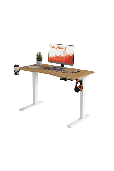 Skyland Electric Height Adjustable Desk with Wireless Charging, USB&Type-C Ports