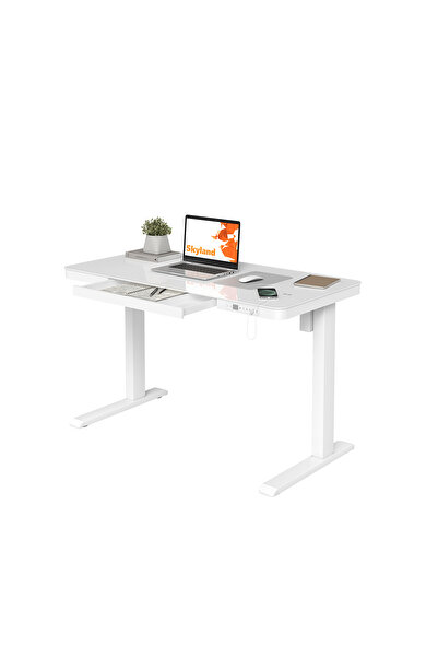 Skyland Electric Height Adjustable Desk - Sit-Stand Workstation, Drawer, Wireless Charging, Tempered Glass