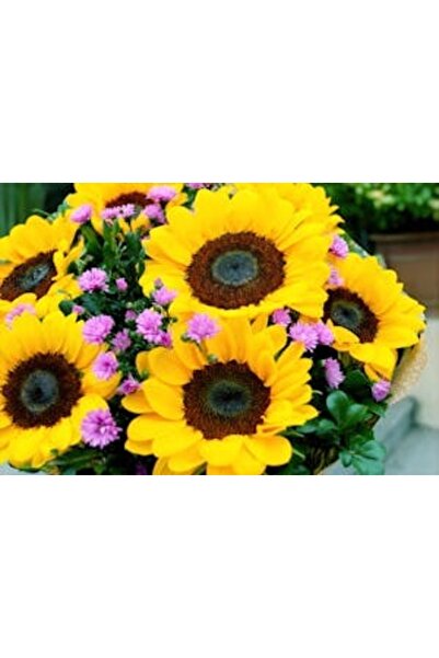 OEM Διακοσμητική επιτοίχια ζωγραφική με ξύλινο πλαίσιο, 33cm x 24cm, εικόνα 2188