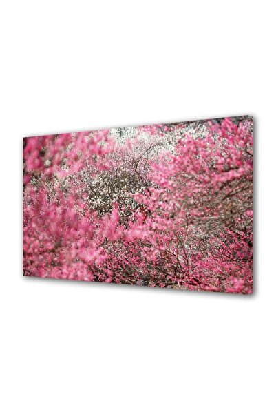 OEM Tablou decorativ, de perete, cu rama din lemn, 33cm x 24cm,cu flori1688