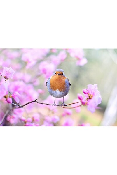 OEM Декоративна стенна картина с дървена рамка, 33 см х 24 см, с цветя2248