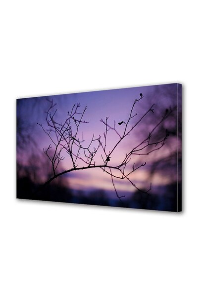 Alista Home Decorative wall painting with wooden frame, 33cm x 24cm, with flowers 1967