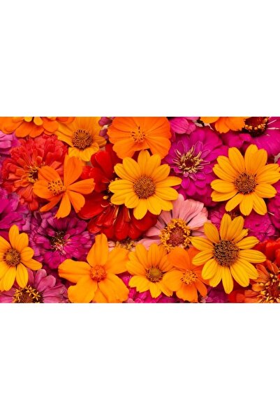 OEM Διακοσμητική επιτοίχια ζωγραφική με ξύλινο πλαίσιο, 33cm x 24cm, εικόνα 2175