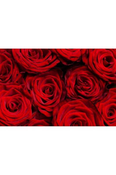 OEM Διακοσμητική επιτοίχια ζωγραφική με ξύλινο πλαίσιο, 33cm x 24cm, εικόνα 2465