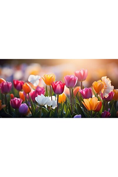 OEM Διακοσμητική επιτοίχια ζωγραφική με ξύλινο πλαίσιο, 33cm x 24cm, εικόνα 2456