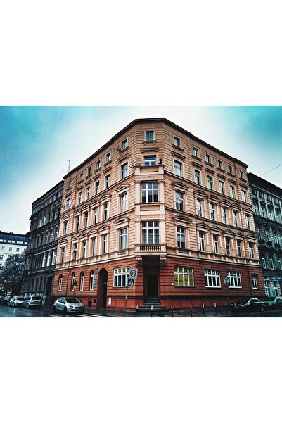 OEM Tablou decorativ, de perete, cu rama din lemn, 33cm x 24cm, imaginea 1935