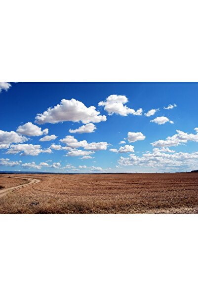 OEM Tablou decorativ, de perete, cu rama din lemn, 33cm x 24cm, cu flori2332