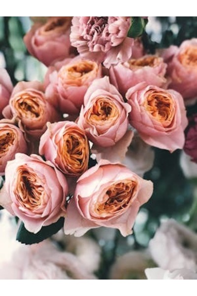 OEM Διακοσμητική επιτοίχια ζωγραφική με ξύλινο πλαίσιο, 33cm x 24cm, εικόνα 2360