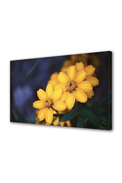 OEM Tablou decorativ, de perete, cu rama din lemn, 33cm x 24cm,cu flori1557