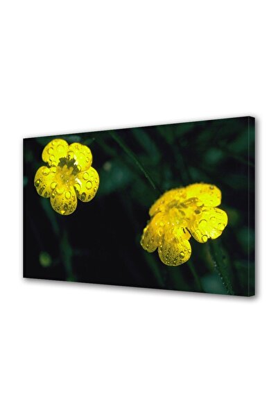 OEM Tablou decorativ, de perete, cu rama din lemn, 33cm x 24cm,cu flori1417