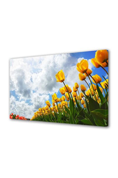 OEM Tablou decorativ, de perete, cu rama din lemn, 33cm x 24cm,cu flori1280