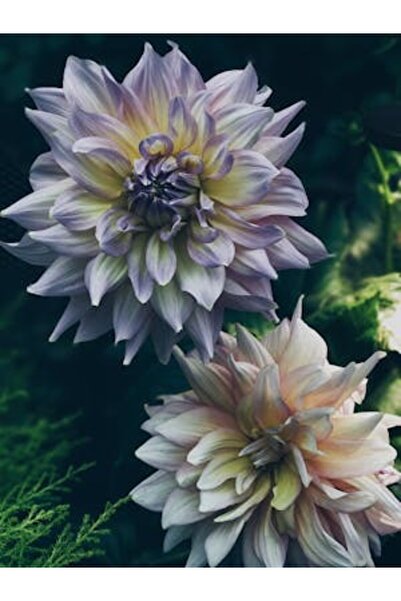 OEM Διακοσμητική επιτοίχια ζωγραφική με ξύλινο πλαίσιο, 33cm x 24cm, εικόνα 2157