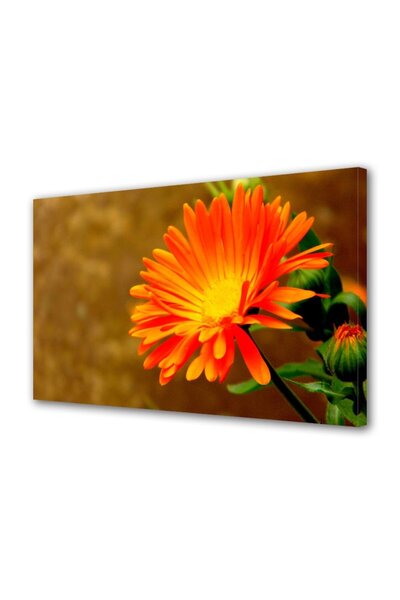 OEM Tablou decorativ, de perete, cu rama din lemn, 33cm x 24cm,cu flori1592