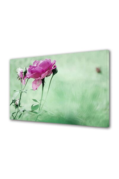 OEM Tablou decorativ, de perete, cu rama din lemn, 33cm x 24cm,cu flori1328