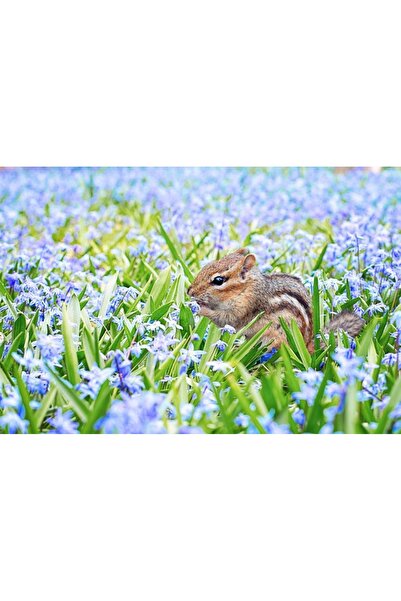 OEM Tablou decorativ, de perete, cu rama din lemn, 33cm x 24cm, cu flori3478