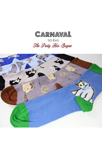 CARNAVAL SOCKS 5'li Kedi Desenli Renkli Unisex Çorap Kutusu