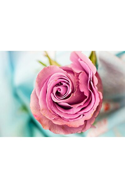 OEM Tablou decorativ, de perete, cu rama din lemn, 33cm x 24cm, imaginea 1990