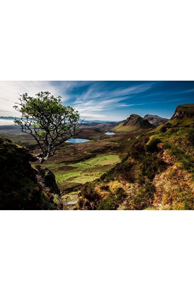 OEM Decorative wall painting with wooden frame, 33cm x 24cm, with flowers2406