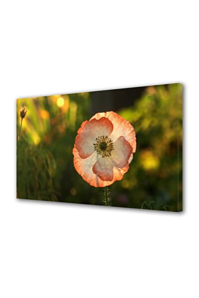 OEM Διακοσμητική επιτοίχια ζωγραφική με ξύλινο πλαίσιο, 33cm x 24cm, με λουλο...