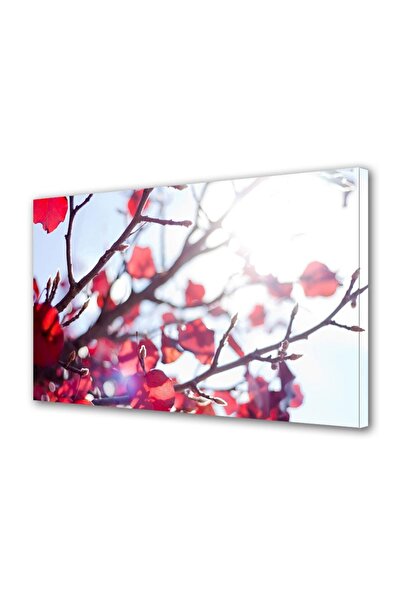 OEM Tablou decorativ, de perete, cu rama din lemn, 33cm x 24cm,cu flori2139