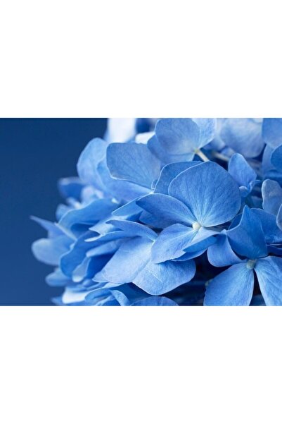 OEM Διακοσμητική επιτοίχια ζωγραφική με ξύλινο πλαίσιο, 33cm x 24cm, εικόνα 2531