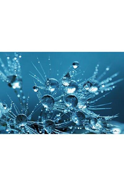 OEM Tablou decorativ, de perete, cu rama din lemn, 33cm x 24cm, cu flori2327