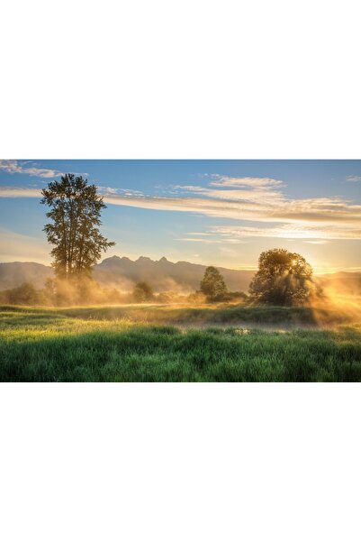 OEM Decorative wall painting with wooden frame, 33cm x 24cm, with flowers2418