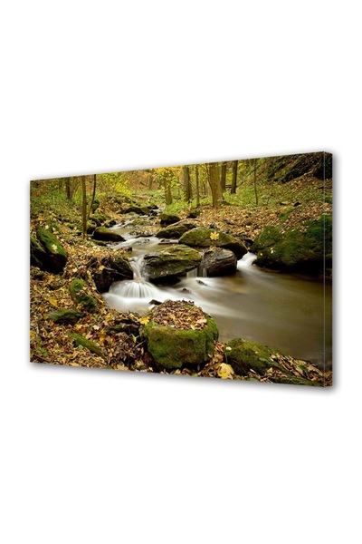 OEM Διακοσμητική επιτοίχια ζωγραφική με ξύλινο πλαίσιο, 33cm x 24cm, με λουλο...