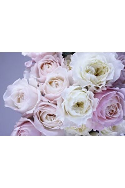 OEM Tablou decorativ, de perete, cu rama din lemn, 33cm x 24cm, imaginea 2197