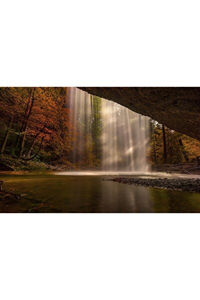 OEM Tablou decorativ, de perete, cu rama din lemn, 33cm x 24cm, cu flori