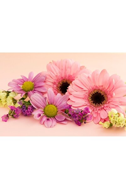 OEM Διακοσμητική επιτοίχια ζωγραφική με ξύλινο πλαίσιο, 33cm x 24cm, εικόνα 2397