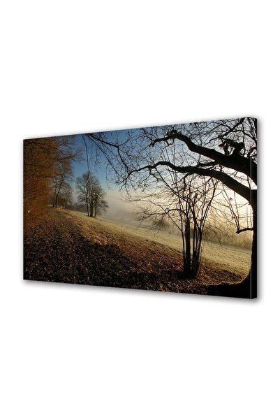 OEM Tablou decorativ, de perete, cu rama din lemn, 33cm x 24cm,cu flori1963