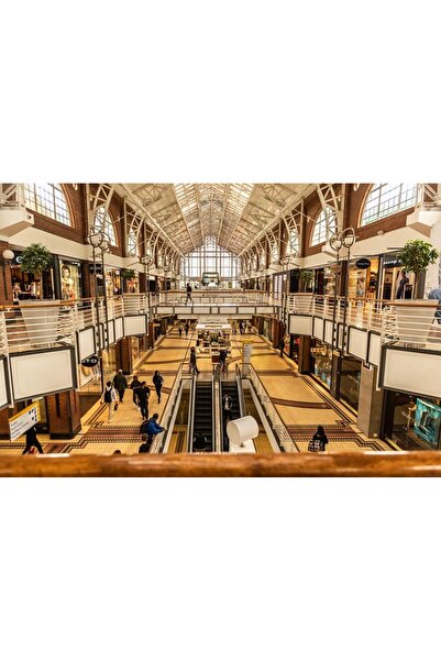 OEM Tablou decorativ, de perete, cu rama din lemn, 33cm x 24cm, imaginea 1834