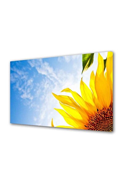 OEM Tablou decorativ, de perete, cu rama din lemn, 33cm x 24cm,cu flori1656