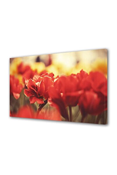 OEM Tablou decorativ, de perete, cu rama din lemn, 33cm x 24cm,cu flori1585