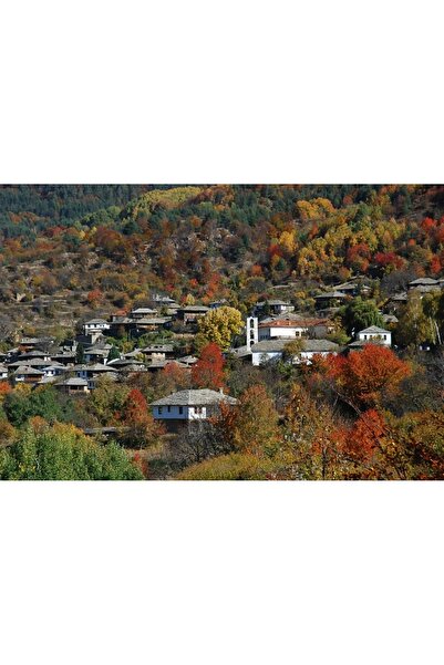 OEM Tablou decorativ, de perete, cu rama din lemn, 33cm x 24cm, imaginea 1923