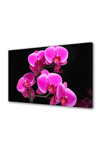 OEM Tablou decorativ, de perete, cu rama din lemn, 33cm x 24cm,cu flori1351