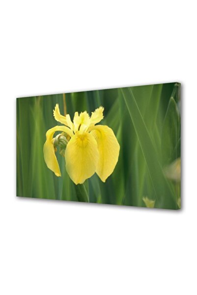 OEM Tablou decorativ, de perete, cu rama din lemn, 33cm x 24cm,cu flori1418